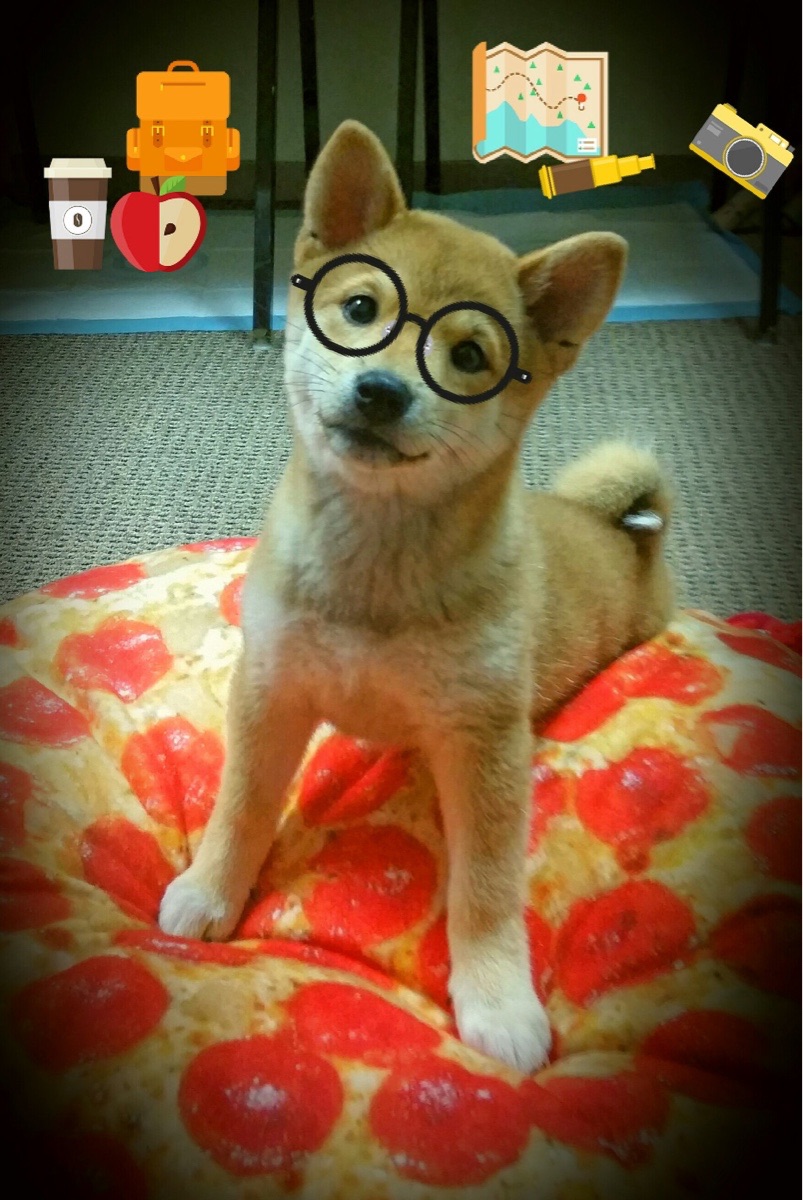 塞内加尔队在巴黎奥运会比赛中多次利用边路进攻,塞内加尔足球队阵容