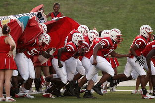 开云kaiyun-球迷助威声点燃比赛氛围，球迷助威口号